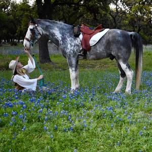 Meet your Posher, Kristy